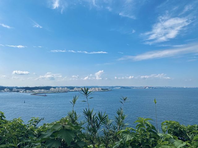 Sarushima (Monkey Island)