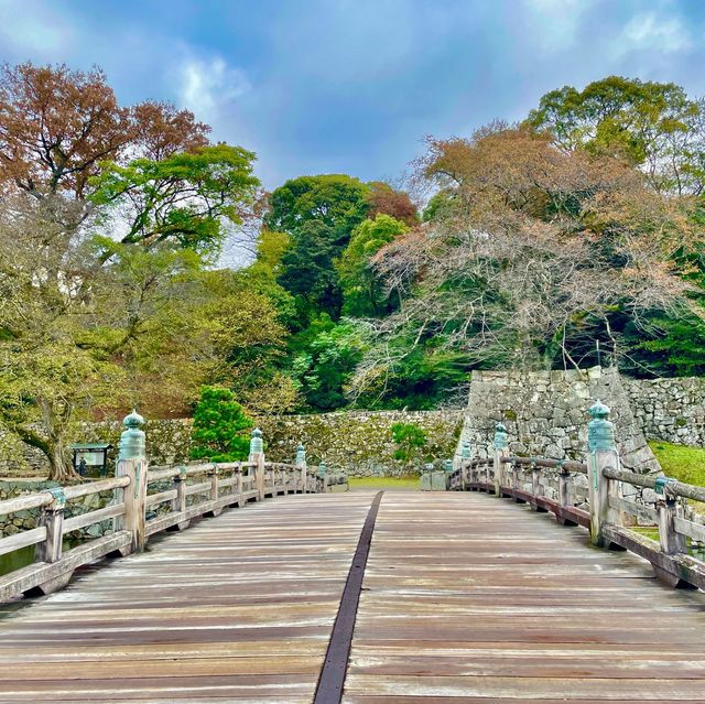 Hikone's Otemon: Gateway to History