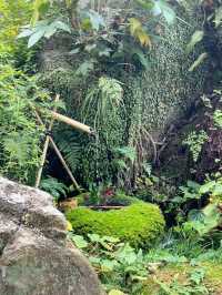 福岡｜太宰府不可錯過的梅枝餅 かさの家🍵