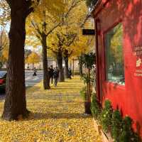 Pretty Autumn Lane a must visit in Seoul