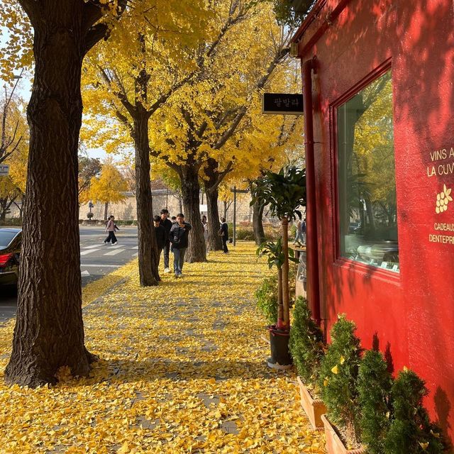 Pretty Autumn Lane a must visit in Seoul