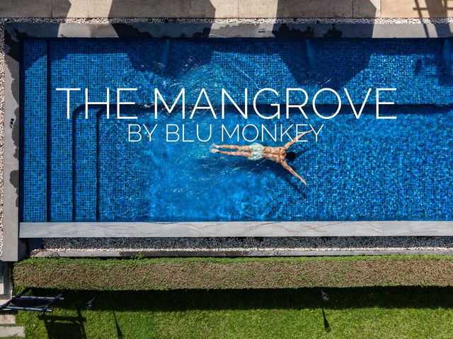 สุดชิล วิวทะเล ที่ The Mangrove by BLU Monkey