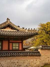 首爾好去處| 踏入歷史的寶座——景福宮