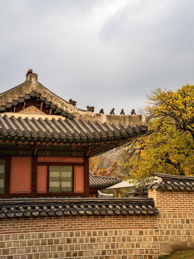 首爾好去處| 踏入歷史的寶座——景福宮