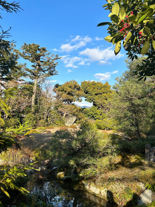 【京都】穴場だけど素敵な庭園