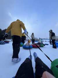 겨울을 제대로 만끽하기! 평창 휘닉스파크 스키장!❄️