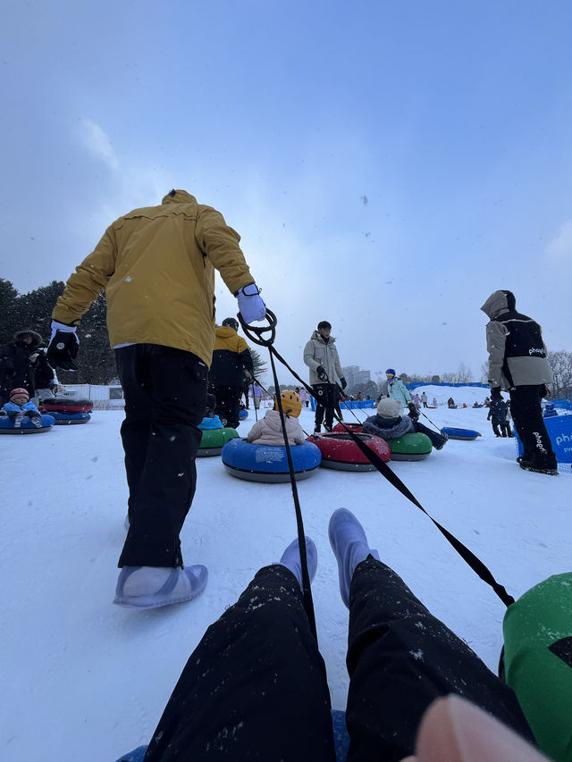 겨울을 제대로 만끽하기! 평창 휘닉스파크 스키장!❄️