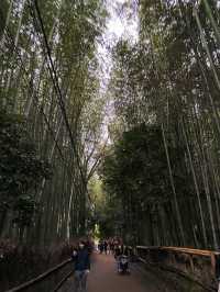 Strolling in Arashiyama 🚶🏼‍♀️🚶🏼🚶‍♂️
