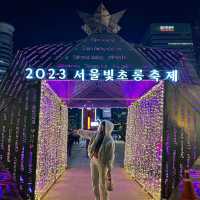 서울광화문 빛초롱축제&서울라이트✨
