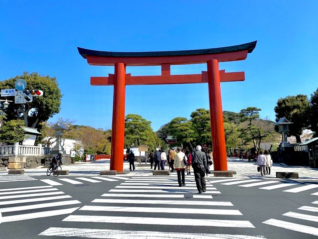 The iconic shrine in Kamakura