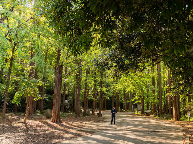 Ikuta Park