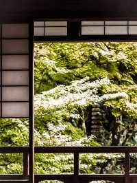 必打卡日本古老歷史氛圍的堀庭園🌿