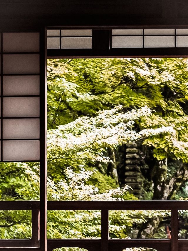 必打卡日本古老歷史氛圍的堀庭園🌿