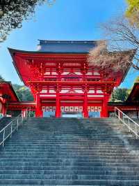 【絶景】朱色の楼門と桜が美しい🌸かるたの聖地近江神宮⛩