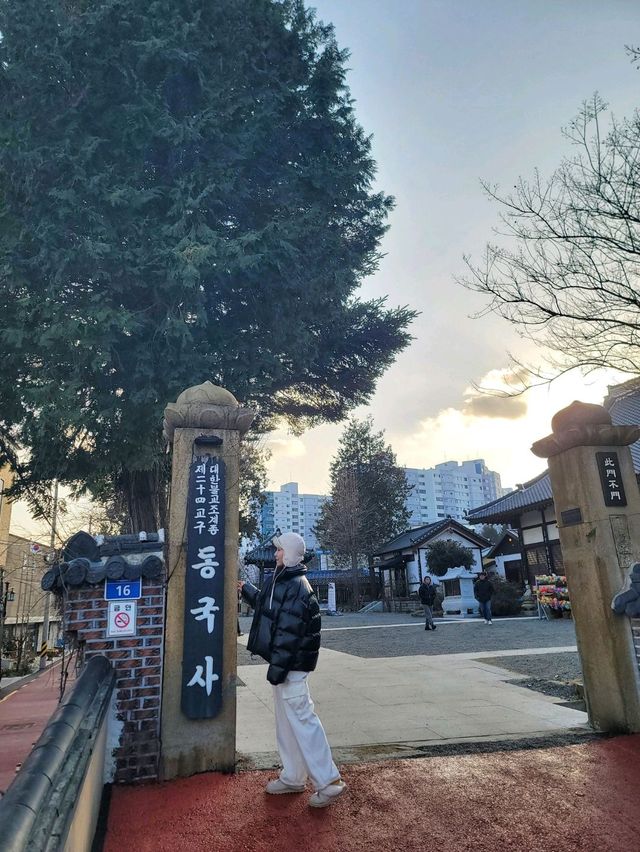 군산 근현대사 여행지로 추천하는 일본식사찰✨️
