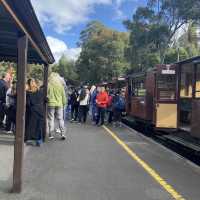 Puffing Billy Railway - Must in Melbourne 