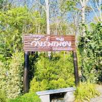 ร้านอาหาร วังร่มเมือง