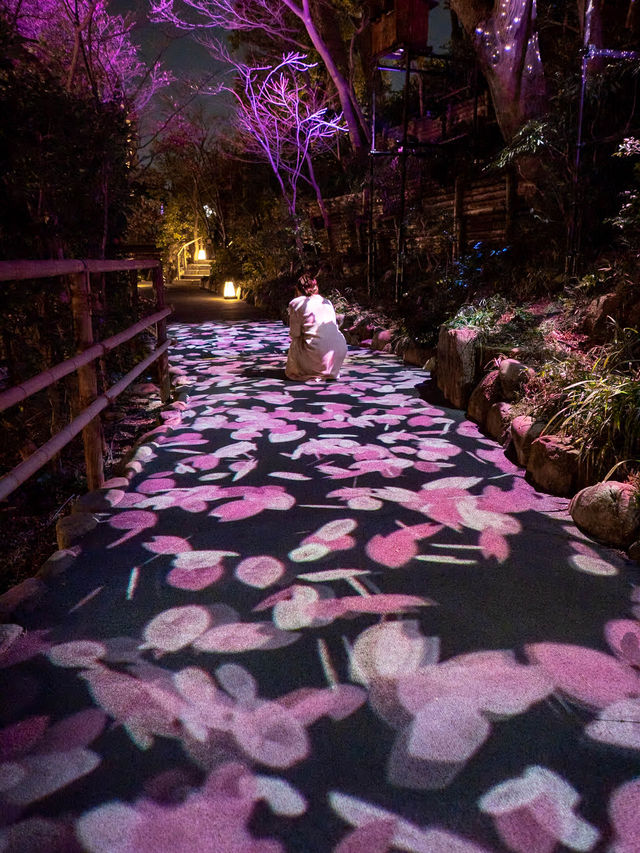 【春に見れる光のアート！🎨】桜の花びらが舞い散る演出が綺麗すぎる！🌸✨