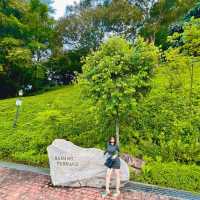 Fort Canning Park