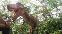 Roar with Dinasaurs