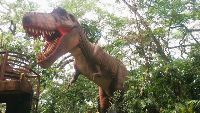 Roar with Dinasaurs