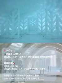 【北海道 然別湖】冬の間だけ湖に現れる幻の村に行ってきた⛄️