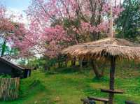 วนอุทยานดอยกาดผี