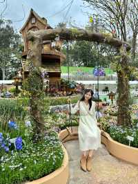 香港也有超美向日葵花海 香港花卉展覽2024