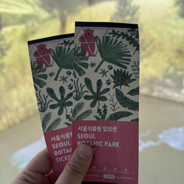 추운 겨울 ‘서울식물원’ 데이트 어떠세요?