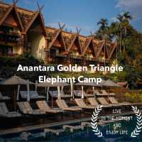 Anantara Golden🐘 Triangle Elephant Camp