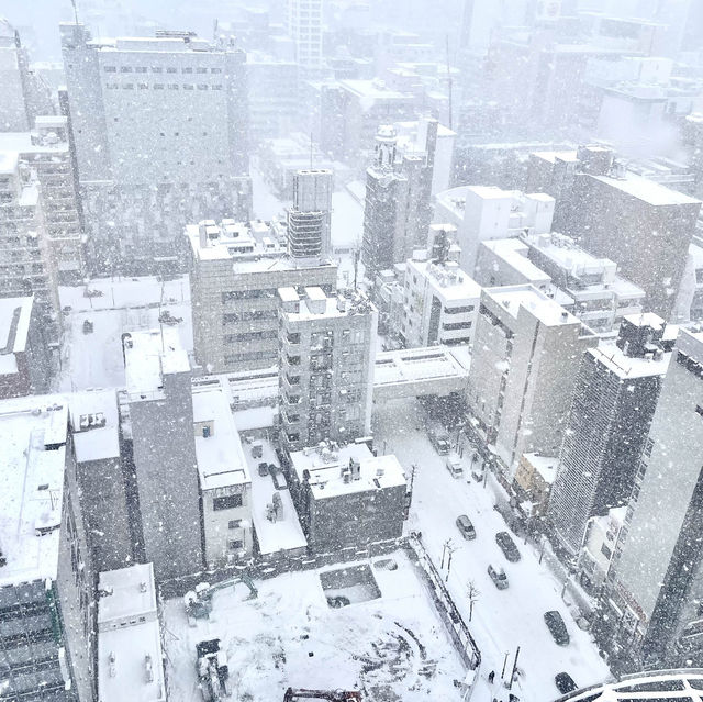 走進浪漫雪國的輕鬆行程❄️