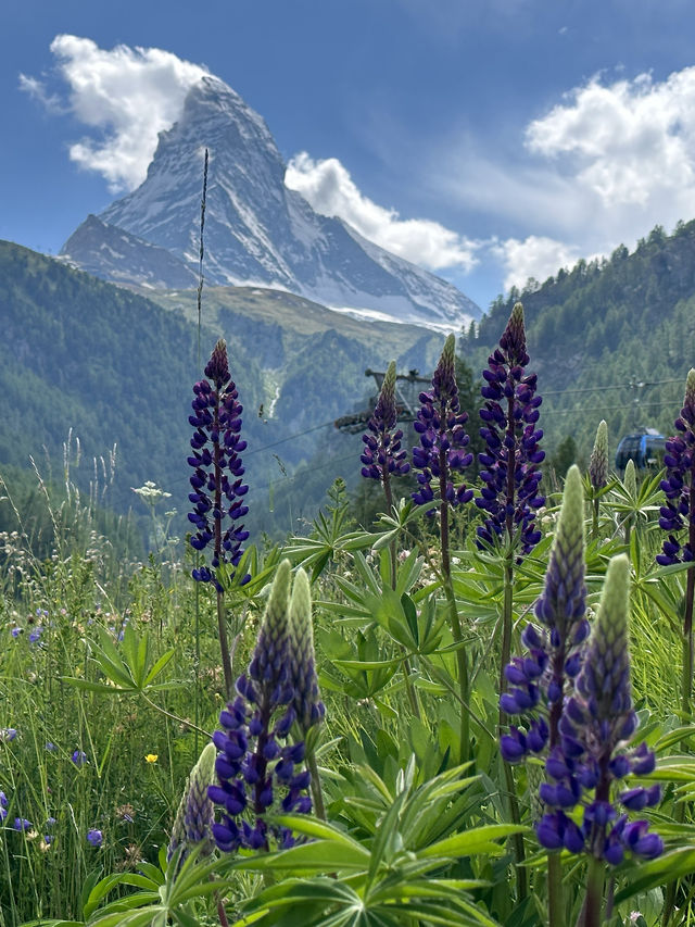 Must visit town in Switzerland 🇨🇭