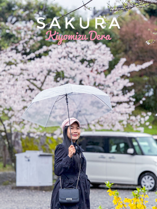 บานแล้ว ซากุระ ที่วัดน้ำใส Kiyomizu Dera เกียวโต
