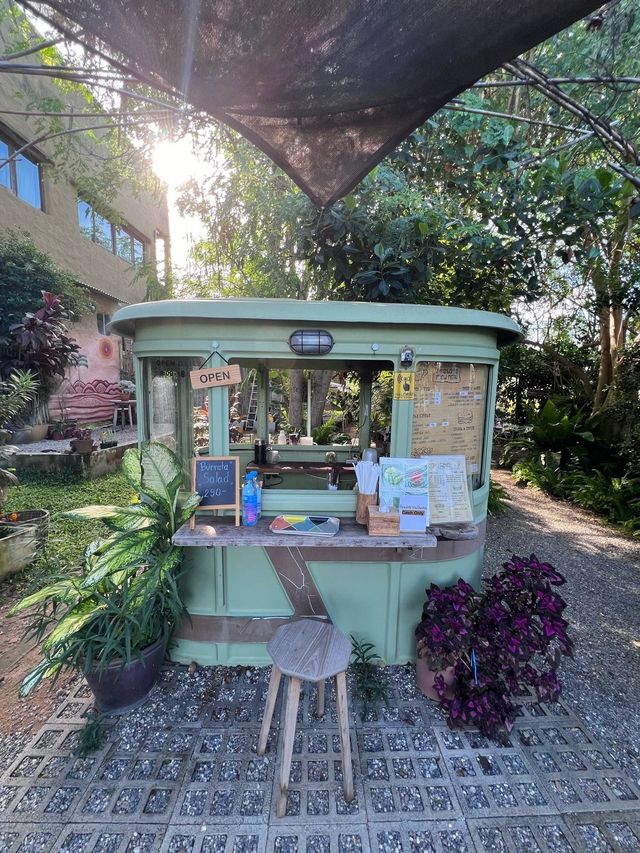 🍸🍃𝓟𝓻𝓪𝓷𝓫𝓮𝓻𝓻𝔂 𝓔𝓪𝓻𝓽𝓱 🍹🫐