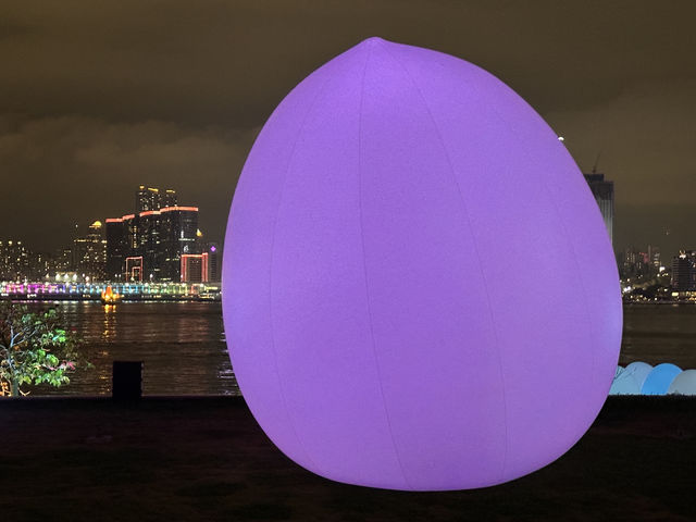 香港好去處 | 金鐘添馬公園 | teamLab: 光漣