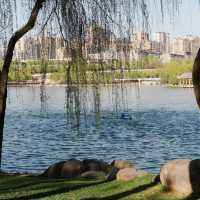 「冬山河親水公園」自然綠洲
