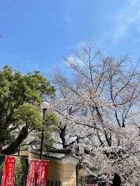 Kofuku-ji Sanjunoto เจดีย์ 3 ชั้นมรดกชาติ จ.นารา