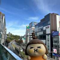 熊本市一天遊正式開始🥰
