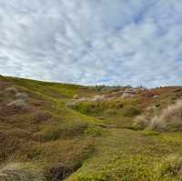 Phillip island day trip