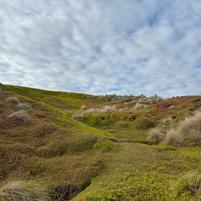 Phillip island day trip