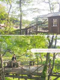 【栃木/那須】一度は泊まってみたいツリーハウス🌲