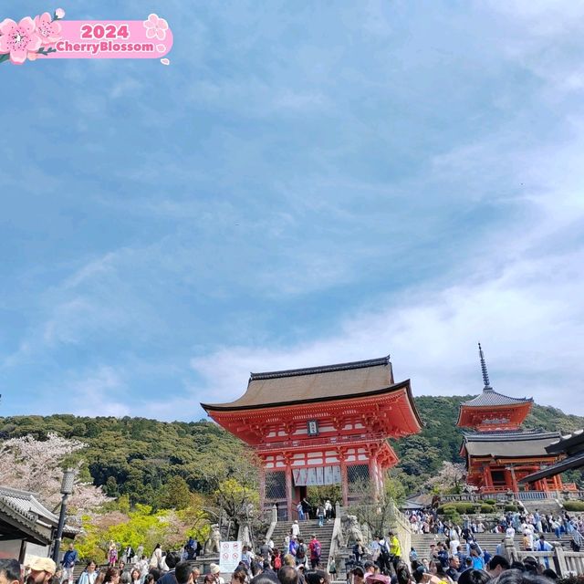 Solo Kyoto Trip 2024 -Kiyomizu-dera Temple