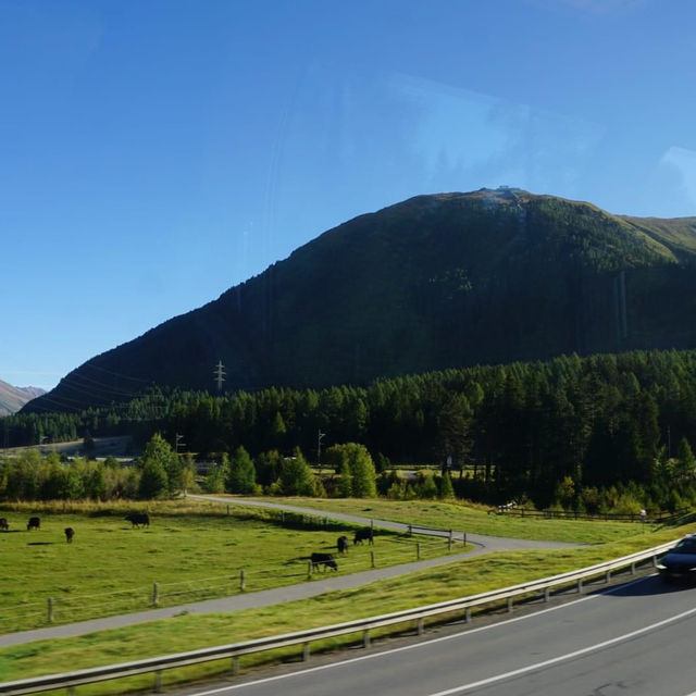 View from Bernina Express