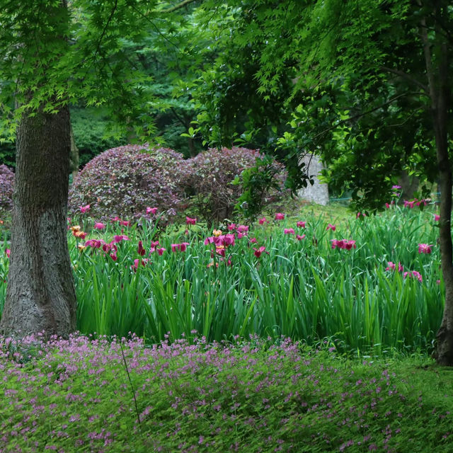 湊山公園：春天好去處，感受日式風韻