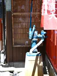 【桃園稲荷神社/東京都】中野駅そばのレトロ感ある地域の神社