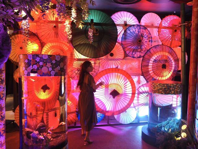 【奈良】西日本最大の金魚ミュージアム