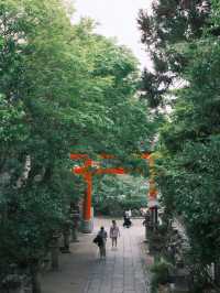 京都 | 宇治一日遊 造訪抹茶之鄉🍵