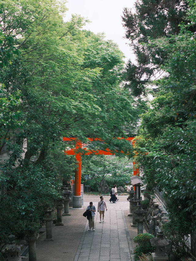 京都 | 宇治一日遊 造訪抹茶之鄉🍵