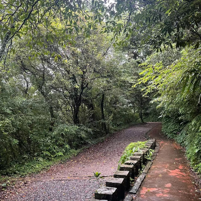吉野熊野國立公園：壯闊樹林、豐富生態