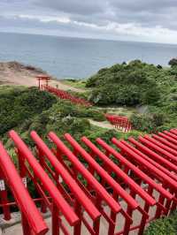 【山口観光】100m続く赤い鳥居のトンネルがある神社⛩